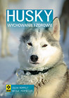 Husky Syberyjski