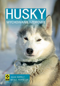 Husky Syberyjski