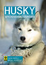 Husky Syberyjski