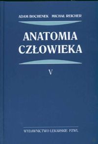 Anatomia człowieka Tom 5