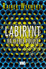 Labirynt na ciebie poluje