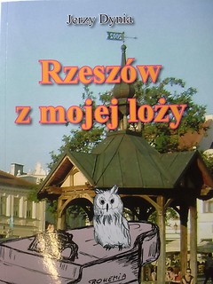 Rzeszów z mojej loży