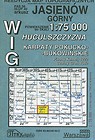 Mapa WIG Jasienów Górny 1:75 000