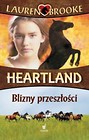 Heartland 7 Blizny przeszłości