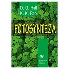 Fotosynteza