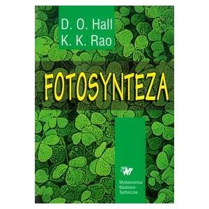 Fotosynteza