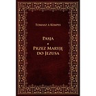 Pasja. Przez Maryję do Jezusa