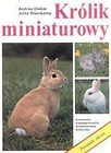 Królik miniaturowy