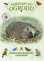 Książeczka edukacyjna. Zajrzyjmy do ogrodu