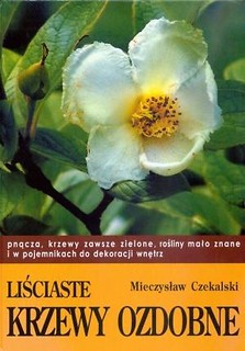 Liściaste krzewy ozdobne cz.2