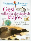 Ciekawe dlaczego gęsi odlatują do ciepłych krajów i inne pytania na temat ptaków