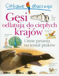 Ciekawe dlaczego gęsi odlatują do ciepłych krajów i inne pytania na temat ptaków