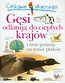Ciekawe dlaczego gęsi odlatują do ciepłych krajów i inne pytania na temat ptaków