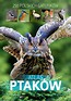 Atlas ptaków