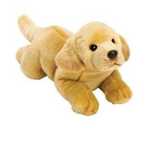 Piesek żółty Labrador 35cm SUKI