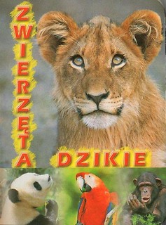 Zwierzęta dzikie