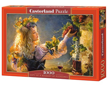 Puzzle 1000 A Bouquet of Pleasures CASTOR