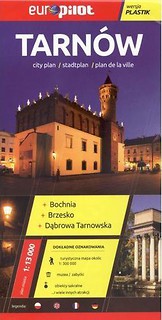 Plan Miasta EuroPilot. Tarnów plastik