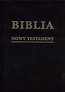 Biblia w zarysie. Nowy Testament płótno