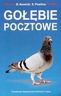 Gołębie pocztowe