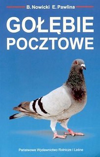 Gołębie pocztowe