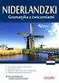Niderlandzki. Gramatyka z ćwiczeniami
