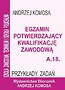 Egz. potw. kwal. zawod. A.18 Przykł. zad. EKONOMIK