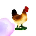 Kura ANIMAL PLANET