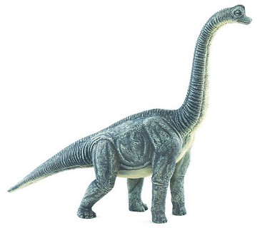 Brachiosaurus ANIMAL PLANET