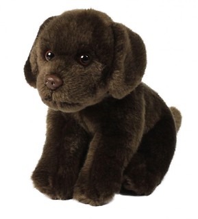 Labrador brązowy 20 cm ACP