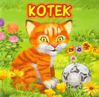 Kotek