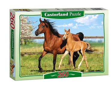 Puzzle 260 Konie CASTOR