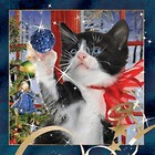 Magnes 3D Świąteczny Kot