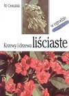 Krzewy i drzewa liściaste