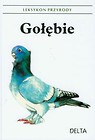 Gołębie Leksykon przyrody