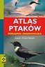 Atlas ptaków Poradnik obserwatora