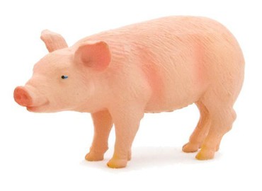 Prosię ANIMAL PLANET