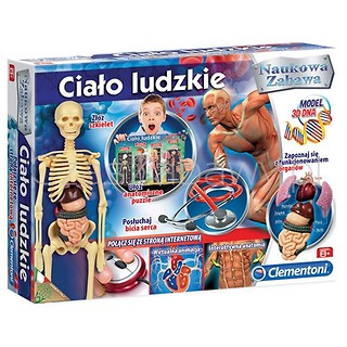 Naukowa zabawa. Ciało ludzkie