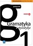 J.Polski GIM 1 Gramatyka i Stylistyka w.2015 WSiP