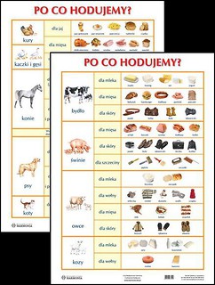 Plansza - Po co hodujemy?