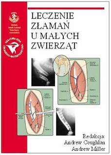 Leczenie złamań u małych zwierząt