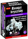 Rosnące kryształy. Śnieżne bonsai
