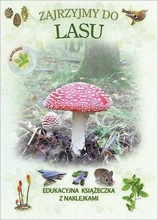 Książeczka edukacyjna. Zajrzyjmy do lasu