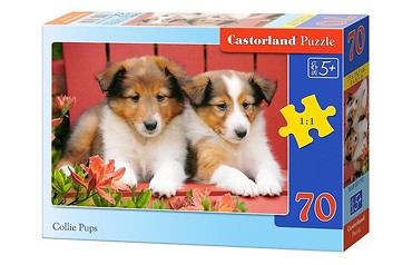 Puzzle 70 - Szczenięta Collie CASTOR