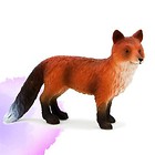 Lis rudy ANIMAL PLANET