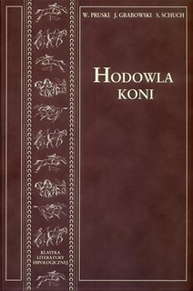 Hodowla koni Tom 2