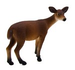 Łania wirginijska ANIMAL PLANET