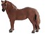 Klacz rasy Suffolk Punch ANIMAL PLANET