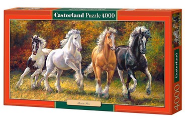 Puzzle 4000 Born to Run CASTOR