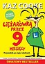 Ciężarówką przez 9 miesięcy w.2016